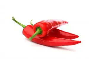 פלפלת חריפה