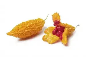 מומורדיקה / מלון מר