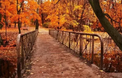 מוכנים לחצות את הגשר?